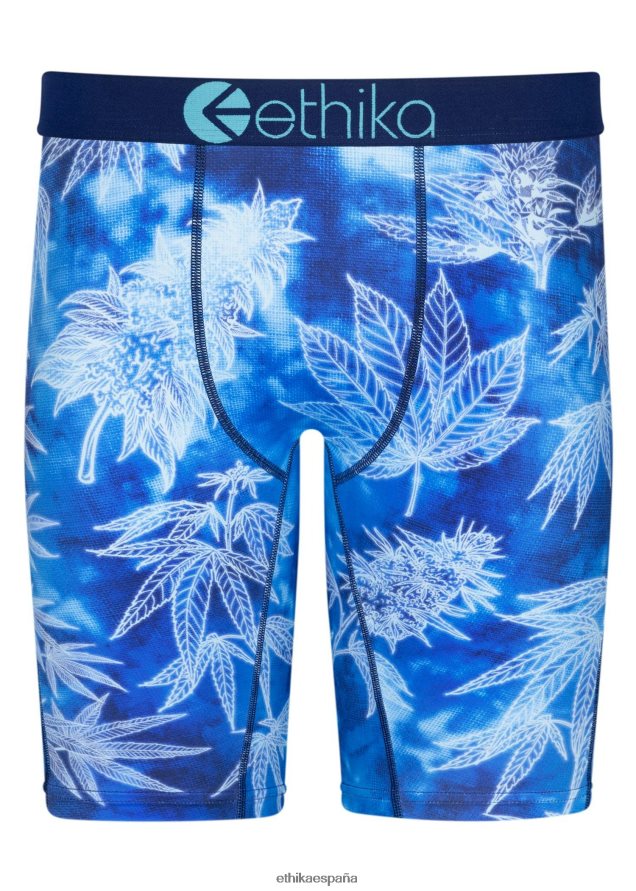 ropa hombres Ethika básico bluu dreamz FD68J75