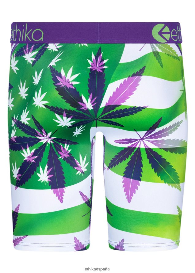 ropa hombres Ethika grapa 420 FD68J70