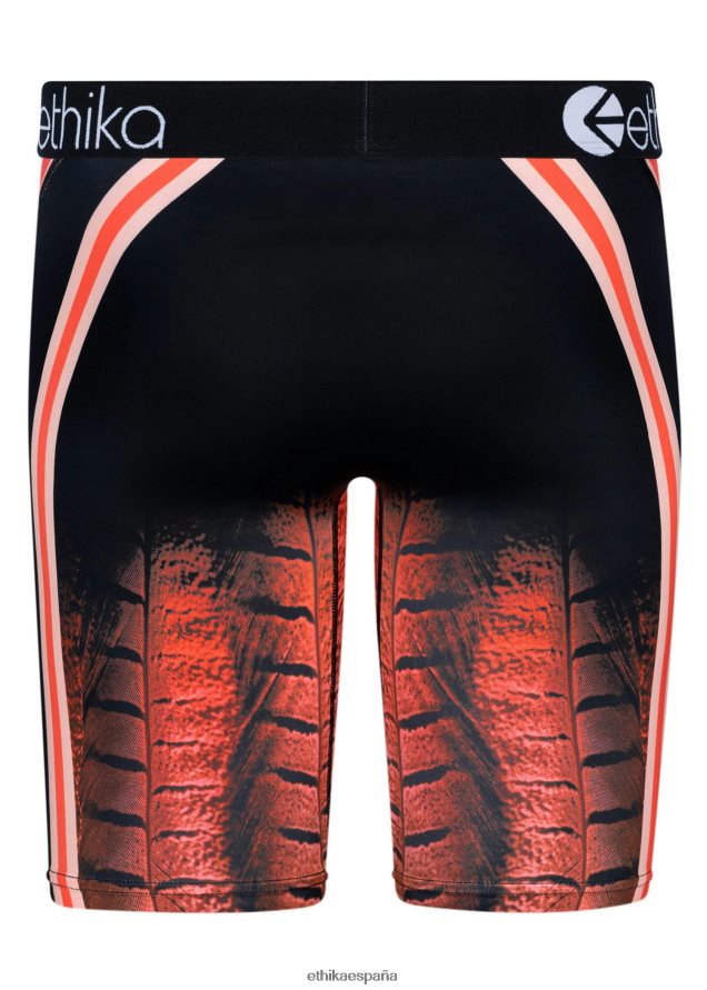 ropa hombres Ethika halcones básicos - ciudad FD68J453