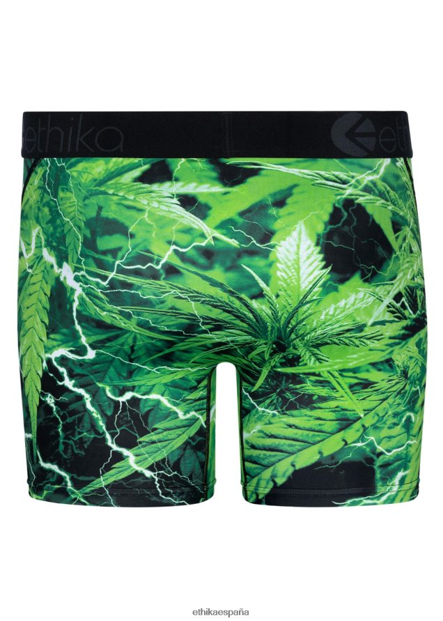 ropa hombres Ethika amor medio eléctrico FD68J231