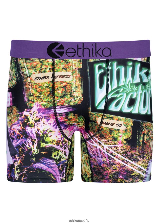 ropa hombres Ethika casa verde media FD68J227