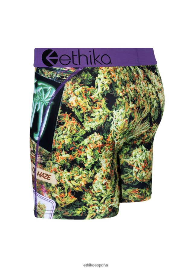 ropa hombres Ethika casa verde media FD68J227
