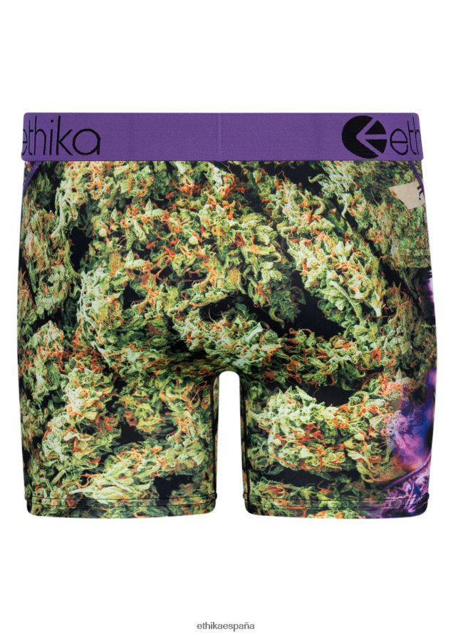 ropa hombres Ethika casa verde media FD68J227