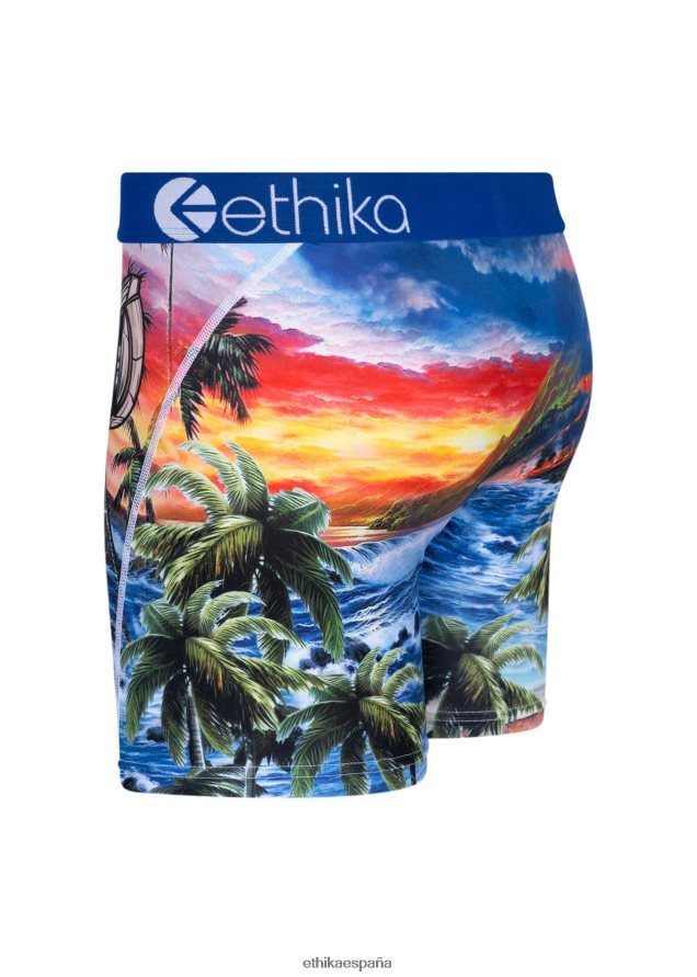 ropa hombres Ethika isla del bombardero medio FD68J206