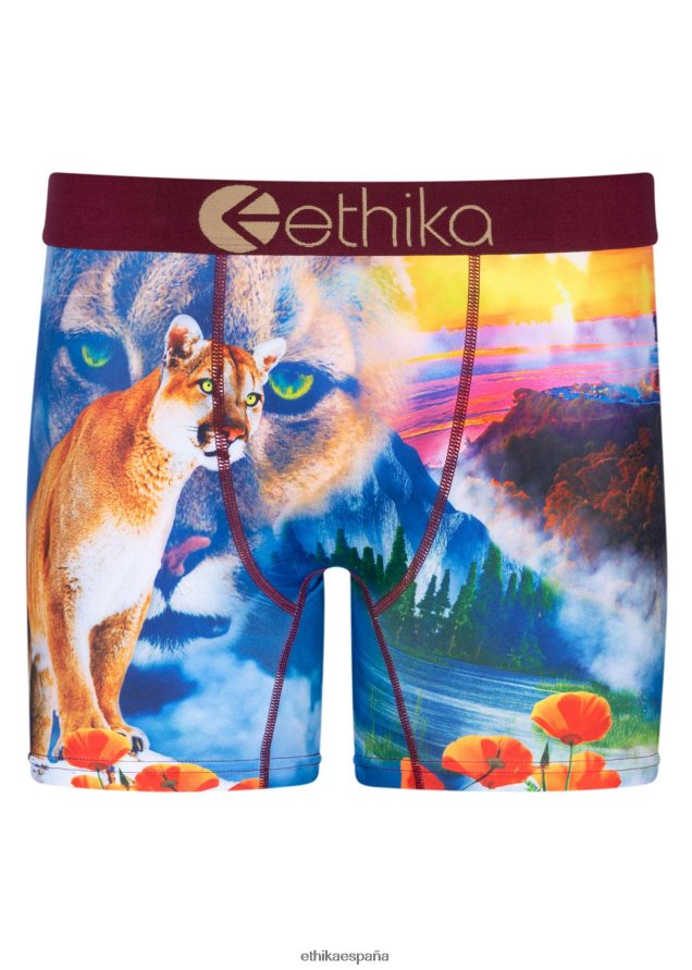 ropa hombres Ethika media hella FD68J221