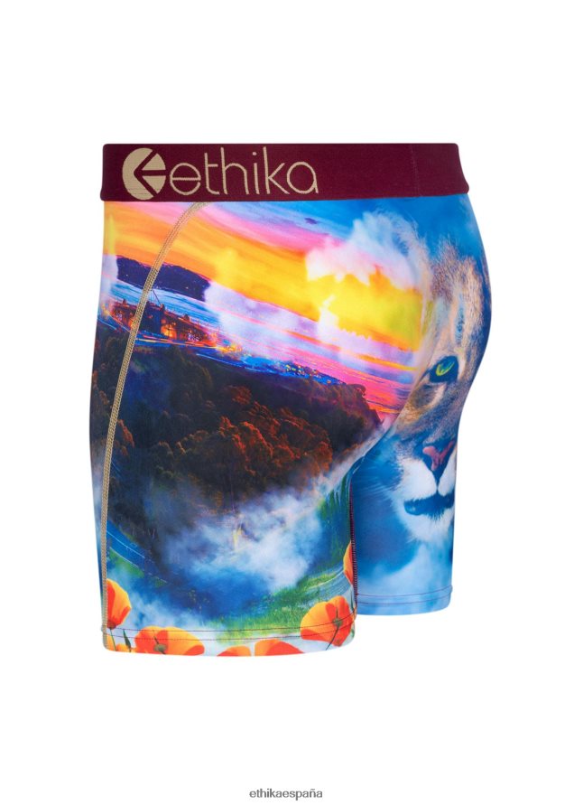 ropa hombres Ethika media hella FD68J221