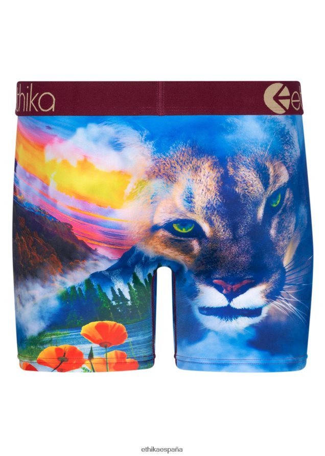 ropa hombres Ethika media hella FD68J221