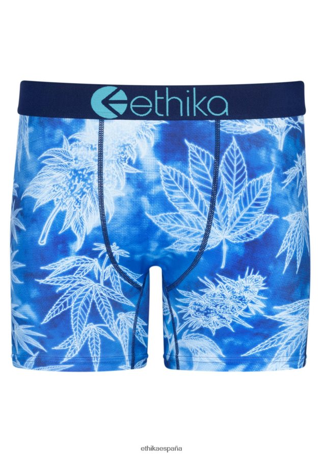 ropa hombres Ethika medio azul dreamz FD68J184