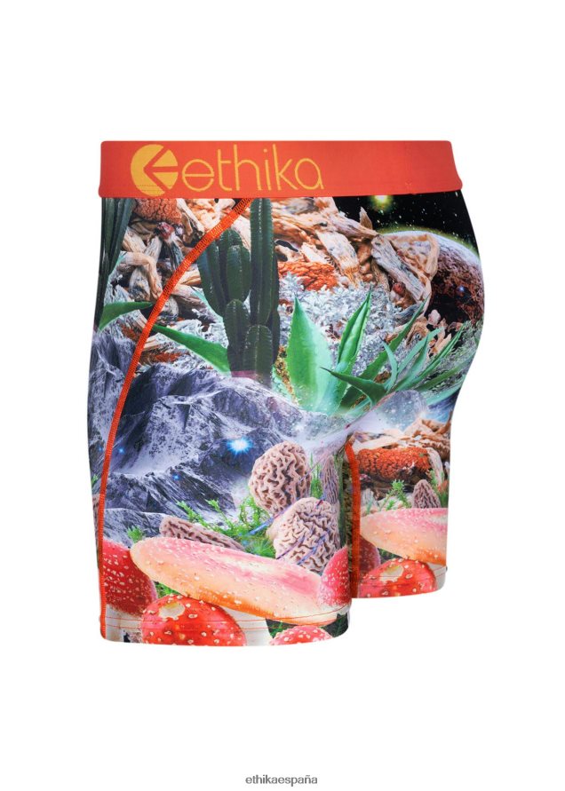 ropa hombres Ethika medio trippy goteante FD68J210