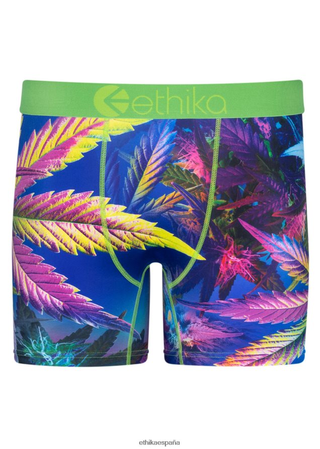 ropa hombres Ethika neblina ultravioleta media FD68J192