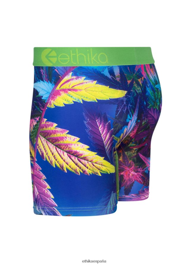 ropa hombres Ethika neblina ultravioleta media FD68J192