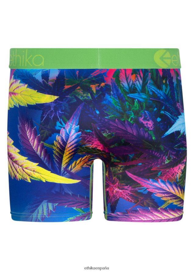 ropa hombres Ethika neblina ultravioleta media FD68J192