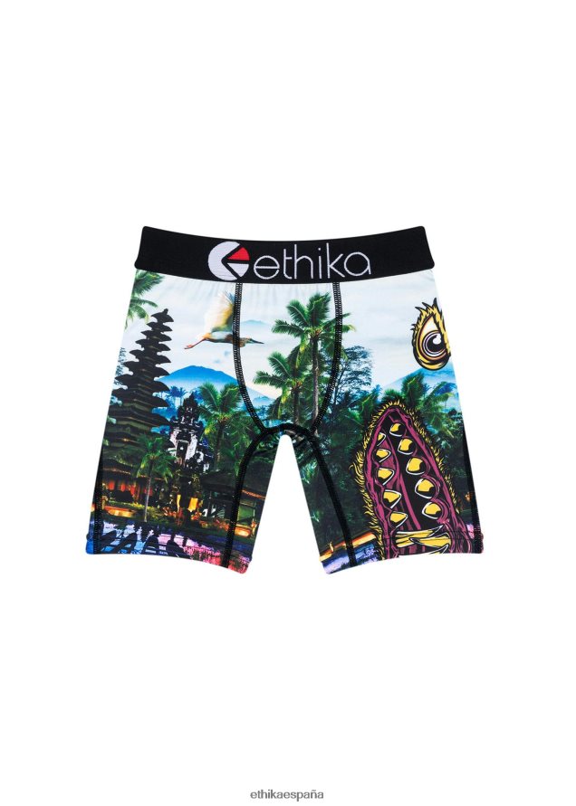 ropa niños pequeños Ethika bombardero básico primario FD68J1796