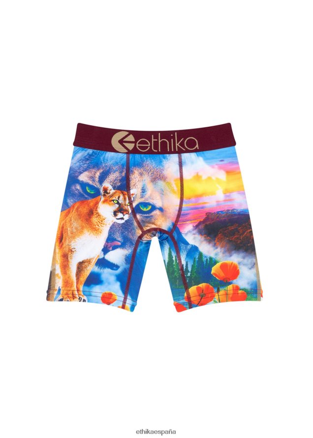 ropa niños pequeños Ethika hella grapa FD68J1793
